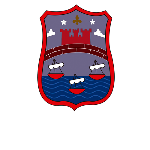 light logo